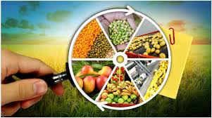 Processed Agro Foods